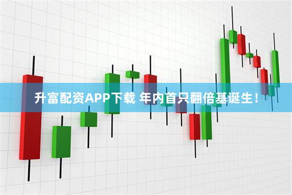 升富配资APP下载 年内首只翻倍基诞生！